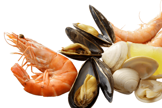 Морепродукты